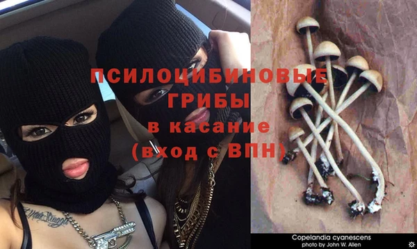 кристаллы Алексин