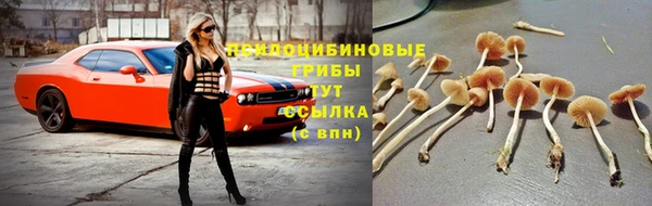 COCAINE Абаза