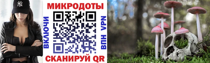 Галлюциногенные грибы ЛСД  Далматово 
