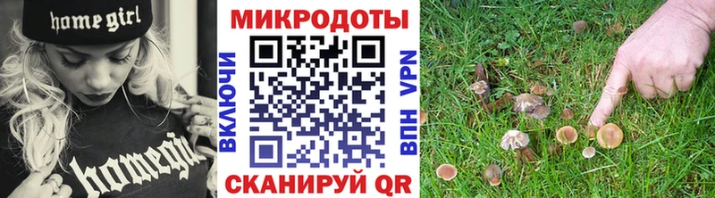 Псилоцибиновые грибы Cubensis Далматово